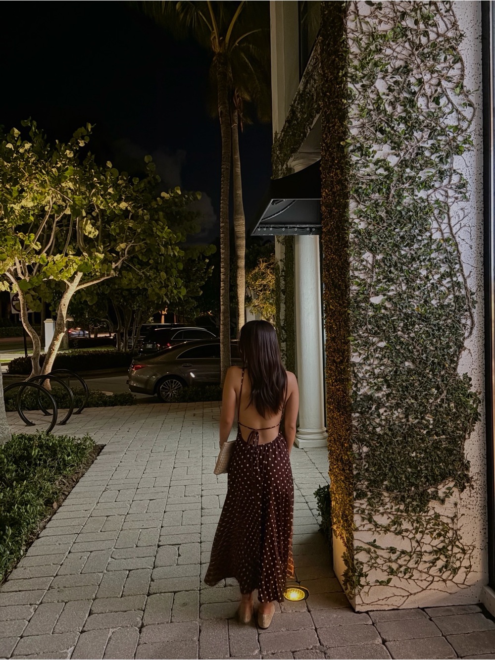 Backless Brown Polka Dot Maxi Dress